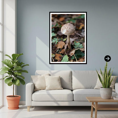Shaggy Parasol Fungi Print Art, Nature Photography, Woodland Decor, Botanical and Fungi Collection, Unique Gift for Mushroom Lovers