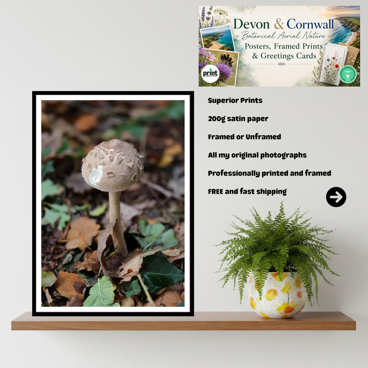 Shaggy Parasol Fungi Print Art, Nature Photography, Woodland Decor, Botanical and Fungi Collection, Unique Gift for Mushroom Lovers