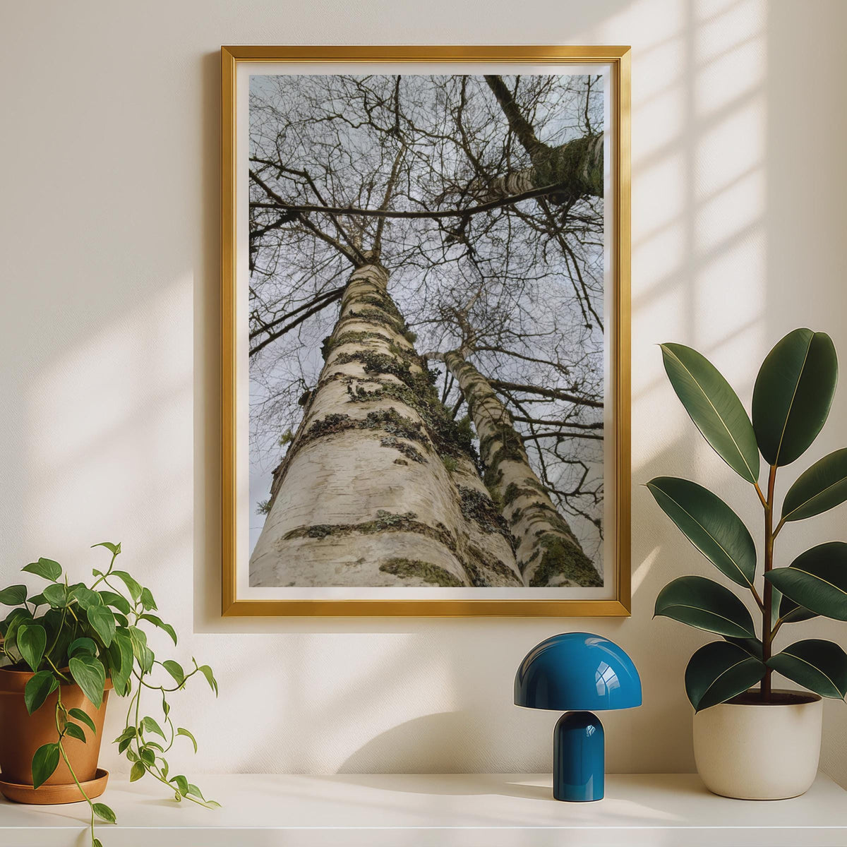 Silver Birch Tree Poster, Looking Up Through Bare Winter Branches, Nature Photography Print, Forest Wall Art, Grey White Woodland Decor