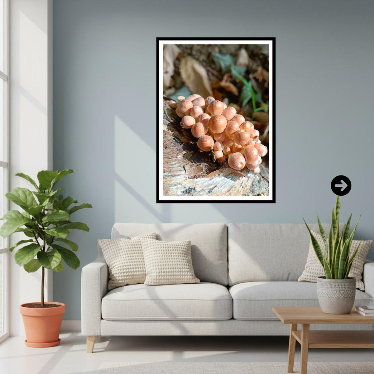 Velvet Shank Fungi Print Art, Mushroom Nature Photography, Woodland Decor, Botanical Wall Poster, FSC Certified Archival Printing, Fungi