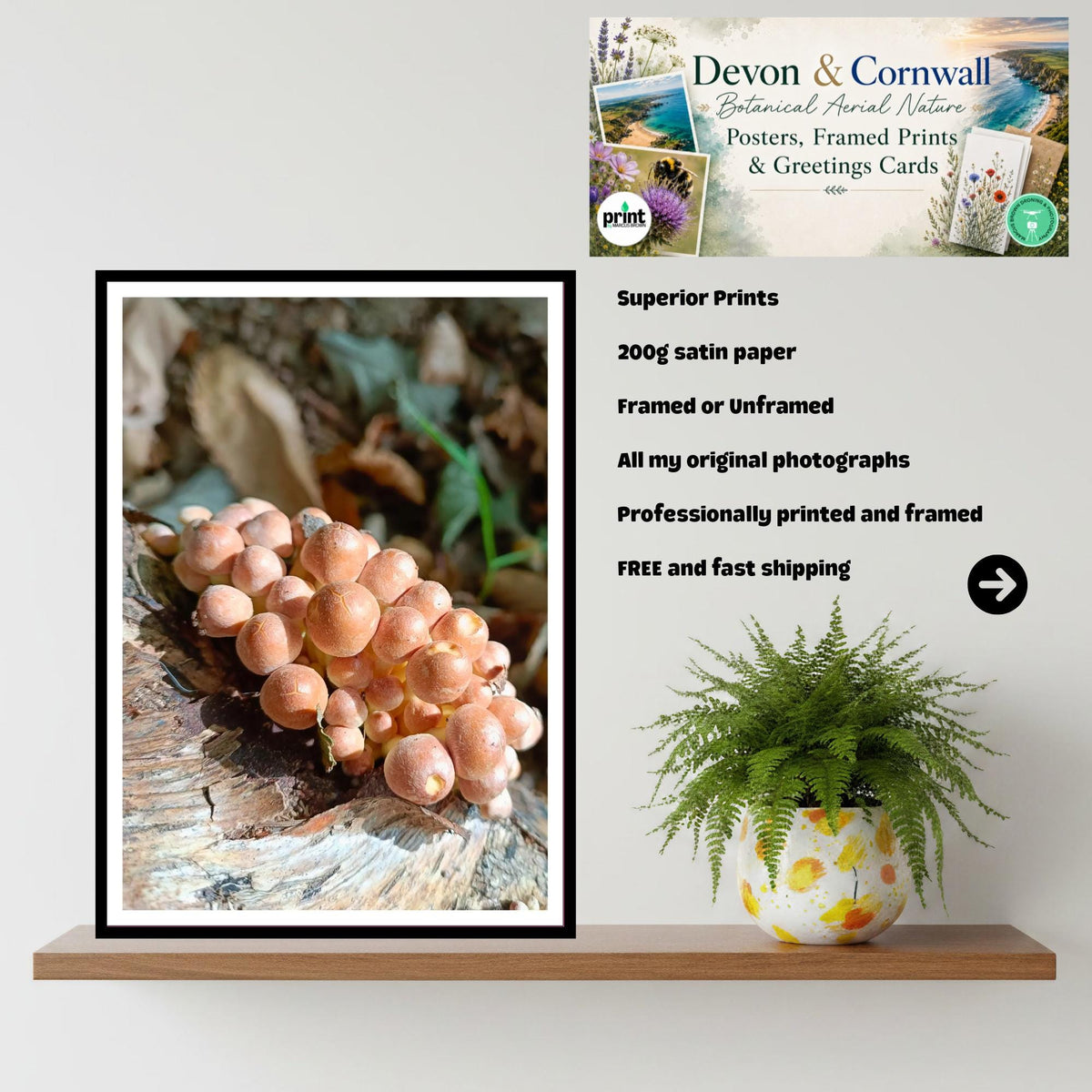 Velvet Shank Fungi Print Art, Mushroom Nature Photography, Woodland Decor, Botanical Wall Poster, FSC Certified Archival Printing, Fungi