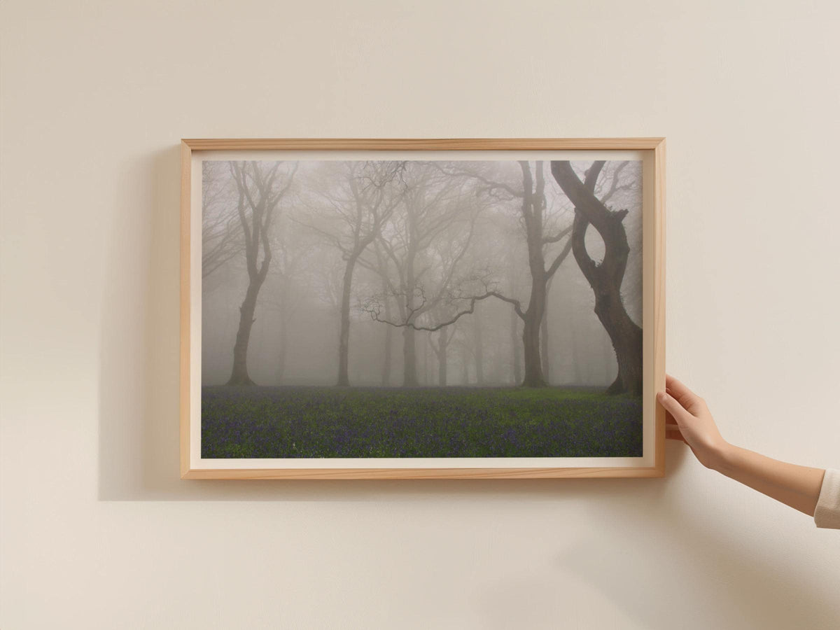 Misty Bluebell Woodland Poster, Foggy Forest Trees Framed-Print, Atmospheric Nature Wall Art, British Spring Landscape Photography Print