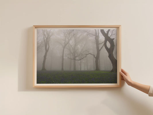 Misty Bluebell Woodland Poster, Foggy Forest Trees Framed-Print, Atmospheric Nature Wall Art, British Spring Landscape Photography Print