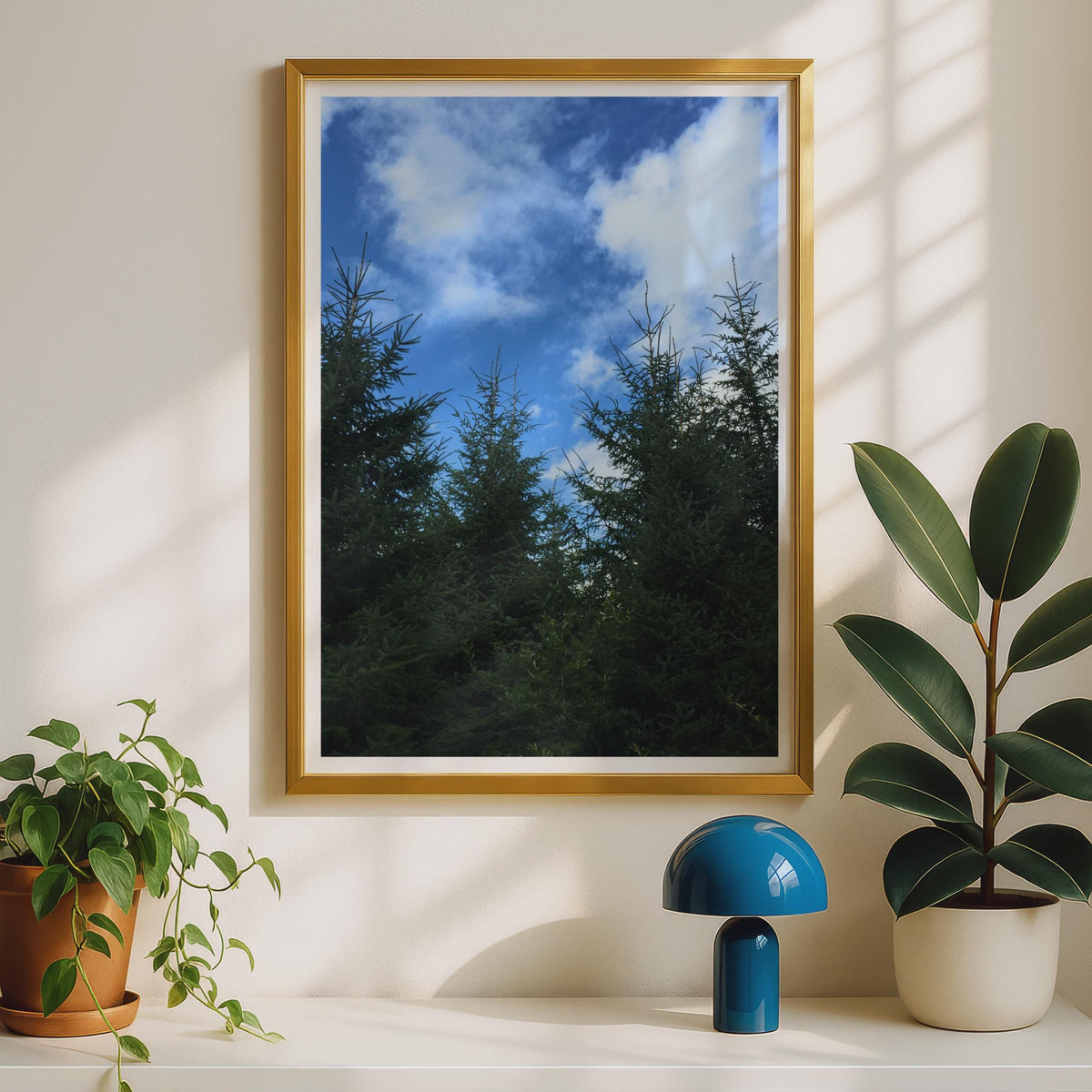 Evergreen Forest Sky Photography Print - image 2