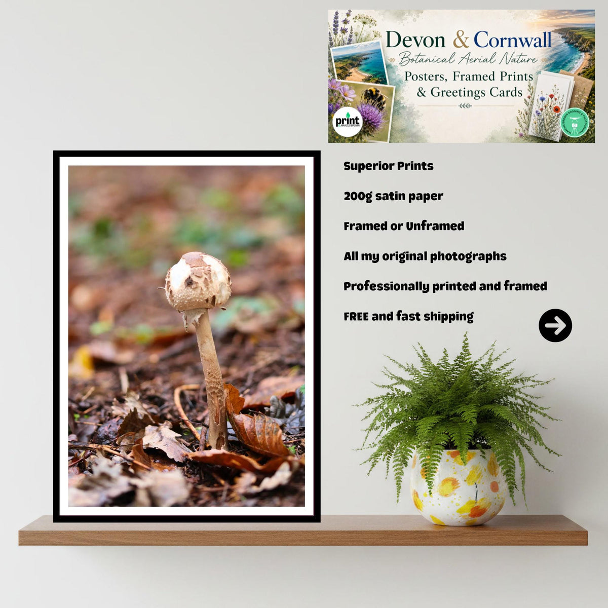 Parasol Mushroom Fungi Print Art, Nature Photography, Woodland Decor, Botanical Wall Art, Archival Poster, Mycology Gift, Forest Fungi