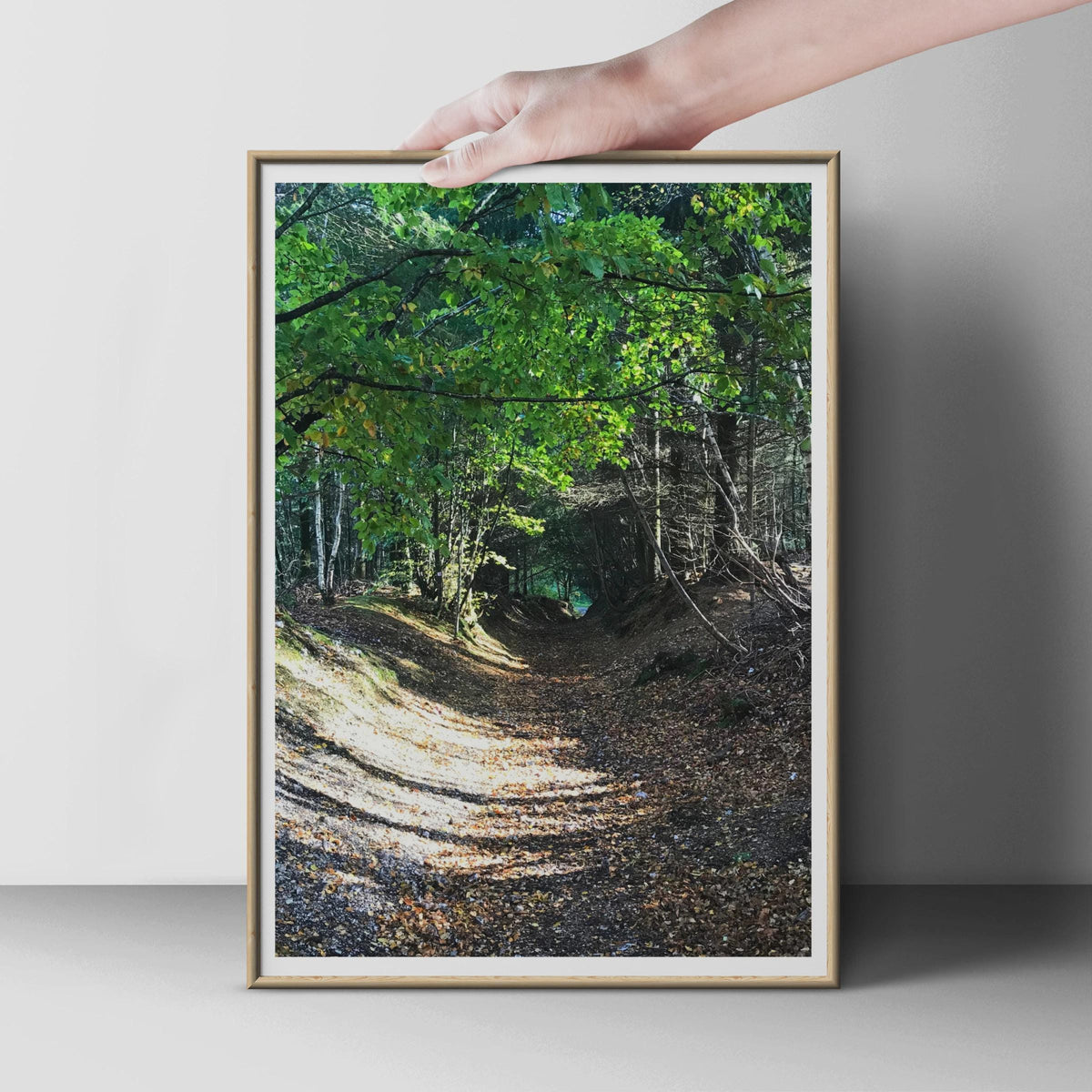 Forest Path Poster, Woodland Trail Wall Art, Autumn Trees Print, Nature Photography, Green Forest Print, Sunlit Wood, Countryside Decor