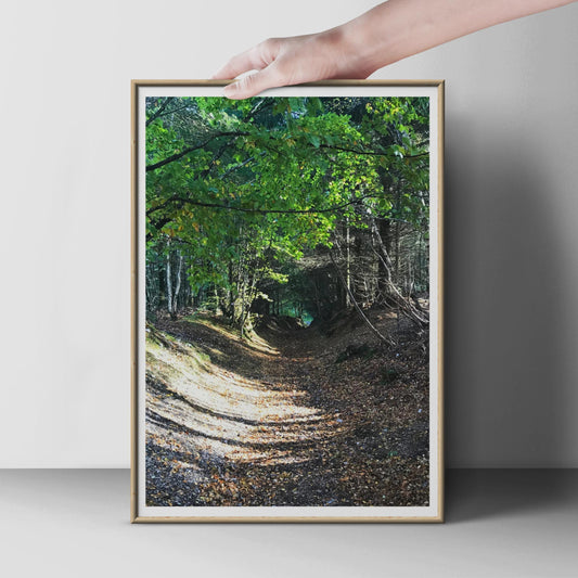 Forest Path Poster, Woodland Trail Wall Art, Autumn Trees Print, Nature Photography, Green Forest Print, Sunlit Wood, Countryside Decor