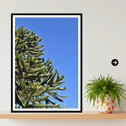 Monkey Puzzle Tree Trunk Print, Unique Botanical Art, Living Fossil Nature Wall Decor, Archival Paper, Office or Home Decor, Tree Artwork