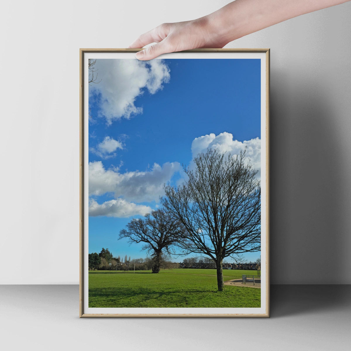 Bare Winter Trees in Park Poster, Blue Sky Green Grass Wall Art, English Park Photography Print, Nature Landscape Photo