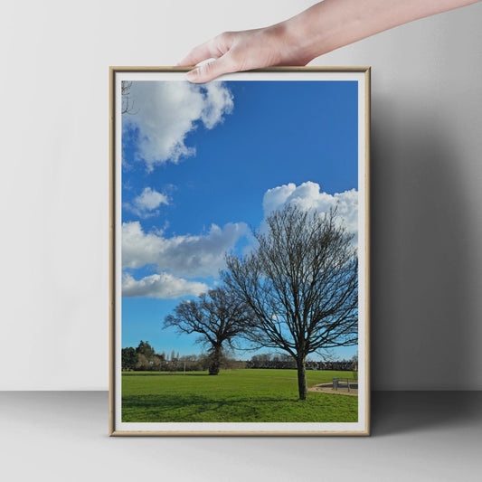 Bare Winter Trees in Park Poster, Blue Sky Green Grass Wall Art, English Park Photography Print, Nature Landscape Photo