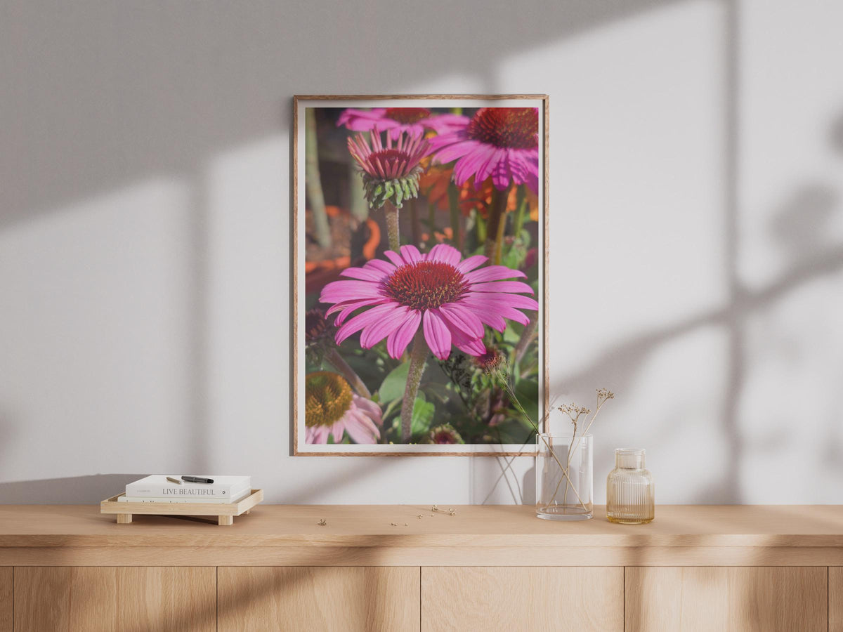 Echinacea Coneflower Poster, Pink Botanical Wall Art, Garden Flower Print, Bright Floral Photography, Summer Garden Decor