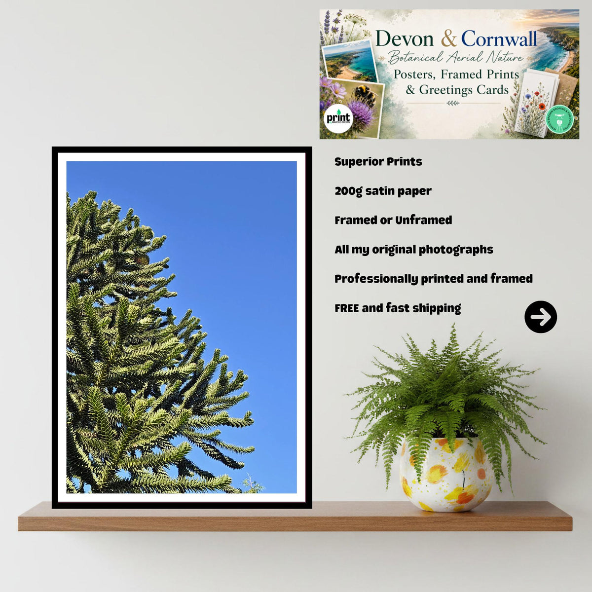 Monkey Puzzle Tree Trunk Print, Unique Botanical Art, Living Fossil Nature Wall Decor, Archival Paper, Office or Home Decor, Tree Artwork