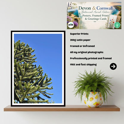 Monkey Puzzle Tree Trunk Print, Unique Botanical Art, Living Fossil Nature Wall Decor, Archival Paper, Office or Home Decor, Tree Artwork