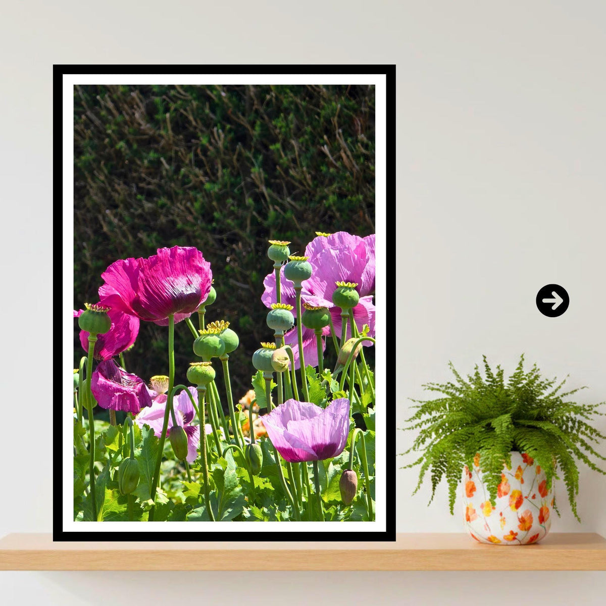 Pink Poppy Flowers Print, Cottage Garden Botanical Wall Art, Summer Bloom Photography