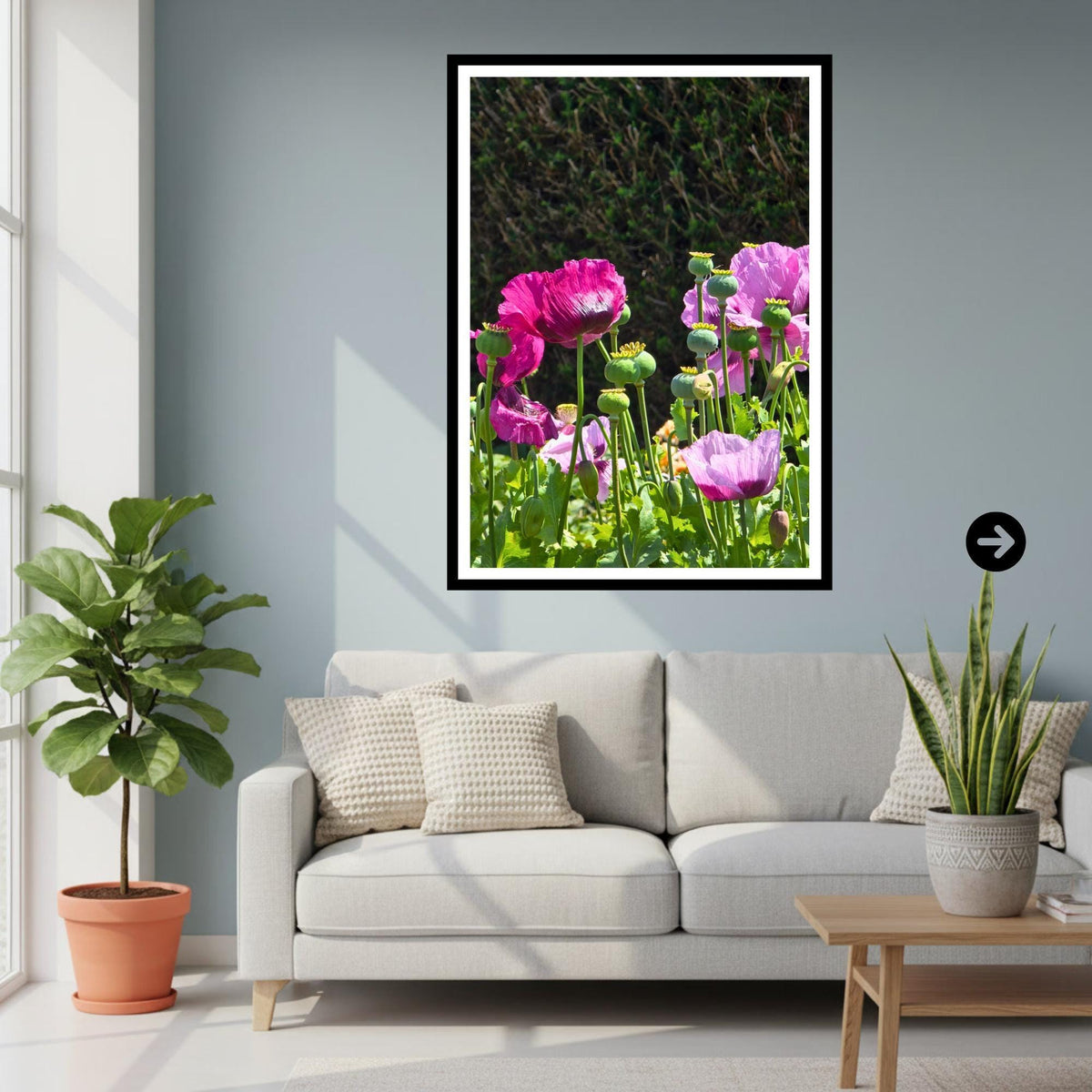 Pink Poppy Flowers Print, Cottage Garden Botanical Wall Art, Summer Bloom Photography