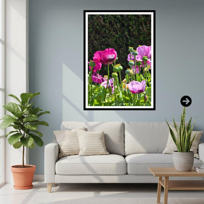 Pink Poppy Flowers Print, Cottage Garden Botanical Wall Art, Summer Bloom Photography
