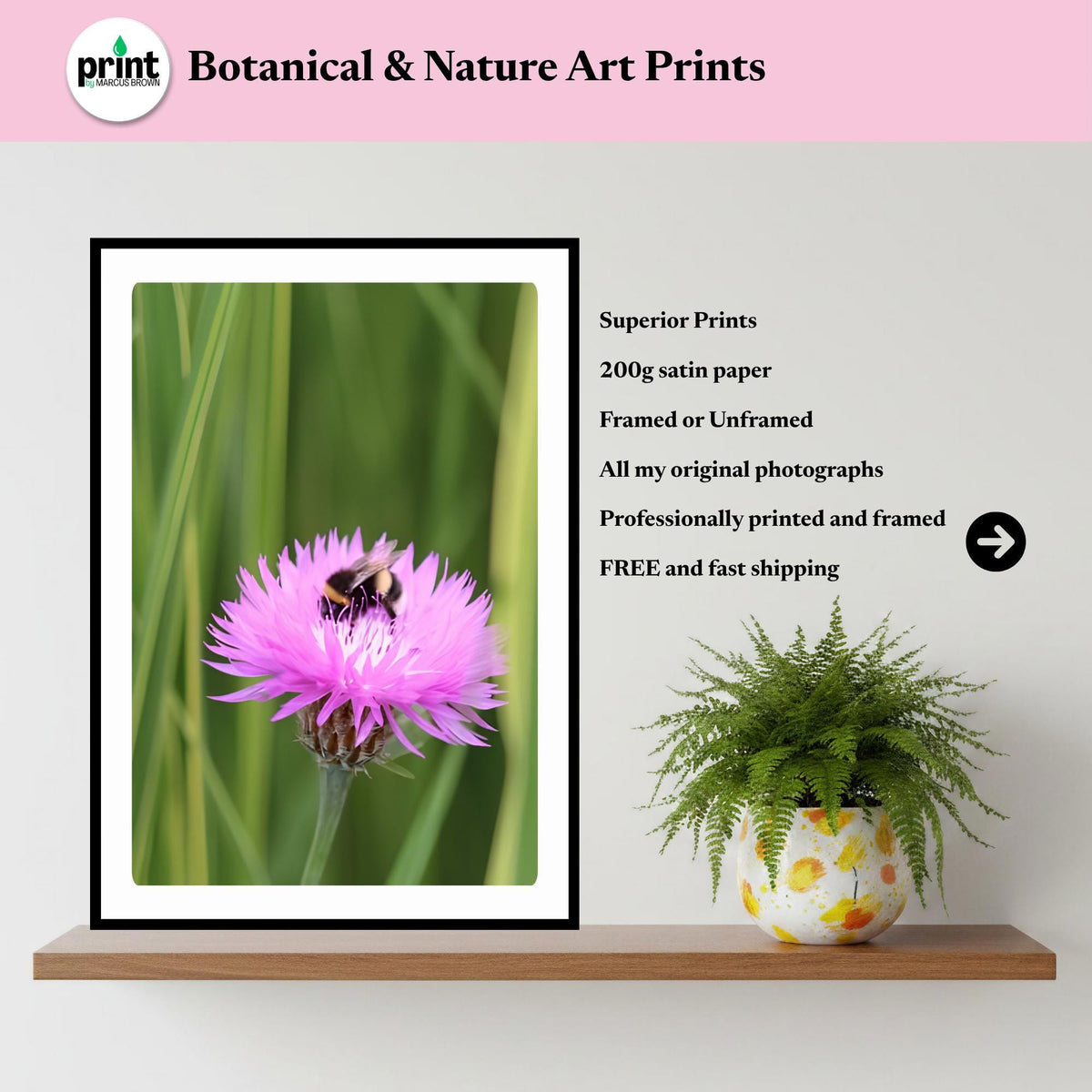Pink Wildflower Bee Photography Print | Botanical Nature Wall Art, Cottagecore Decor