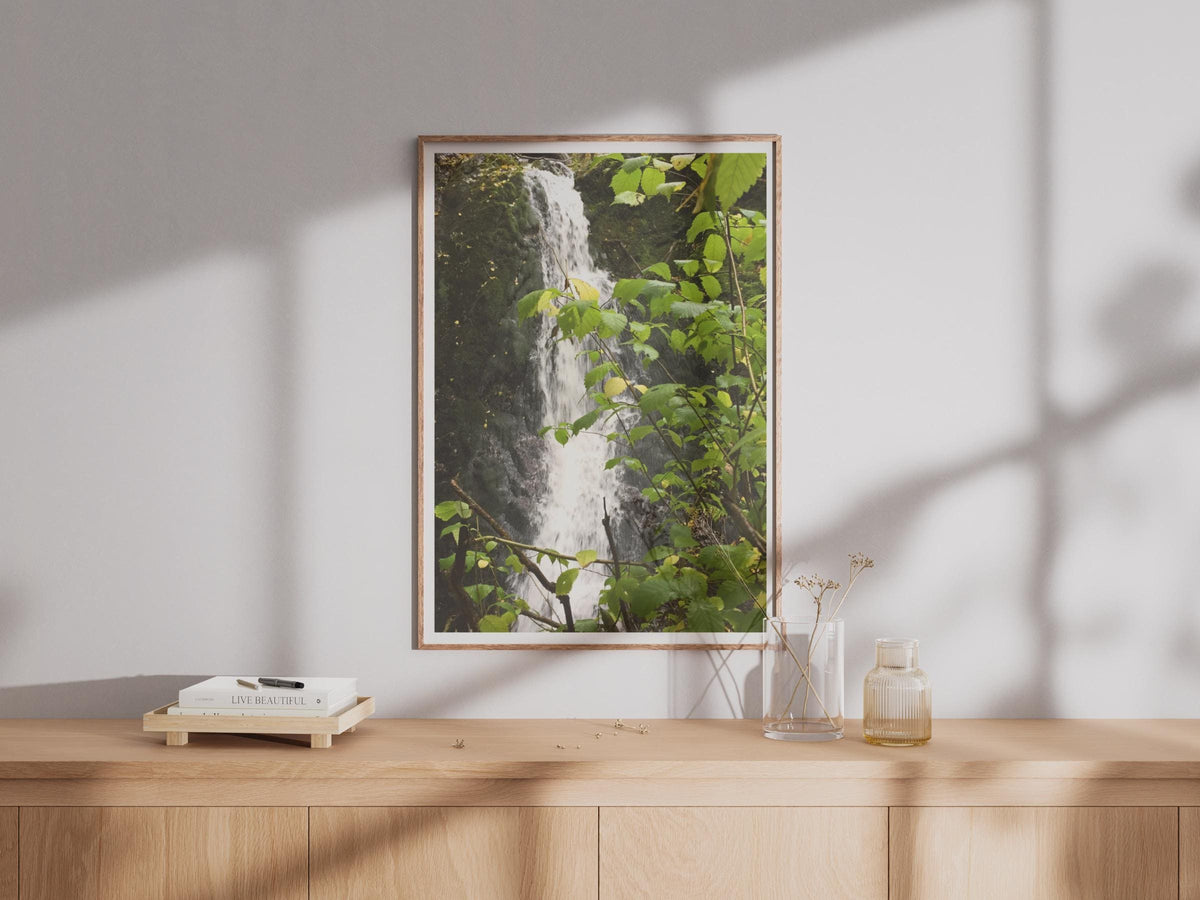 Forest Waterfall Photography Print - image 4