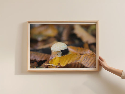 Fungi Mushroom Poster, Autumn Forest Floor Photography, Framed-Print, Nature Wall Art, Woodland Decor, Earthy Tones, Botanical Gift