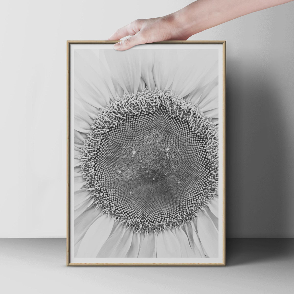 Black and White Sunflower Print, Macro Flower Photography Poster, Monochrome Botanical Wall Art, Minimalist Nature Photo
