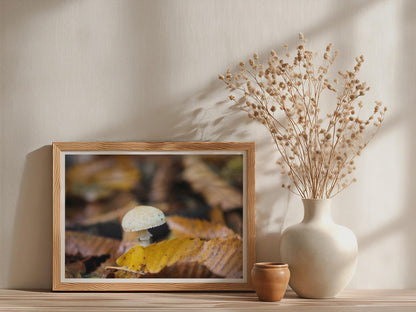 Fungi Mushroom Poster mockup - Neutral_Mockup_Studio_509