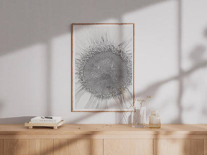 Black and White Sunflower Print, Macro Flower Photography Poster, Monochrome Botanical Wall Art, Minimalist Nature Photo