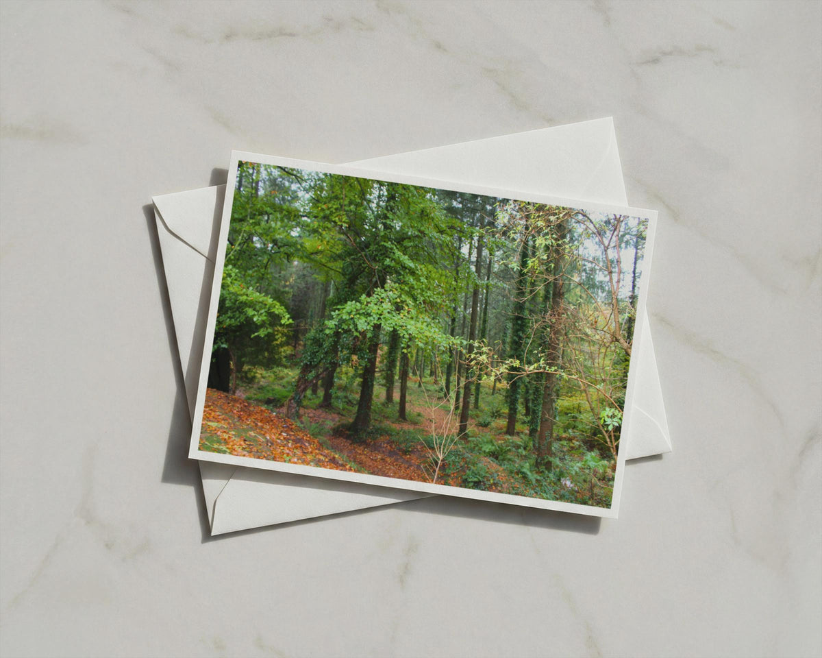 Autumn Forest Poster, Woodland Trees Landscape Print, Ivy Covered Trunks, Framed-Print, Nature Wall Art, Green Orange Fall Decor Gift