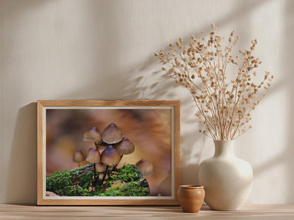 Woodland Fungi Poster mockup - Neutral_Mockup_Studio_509