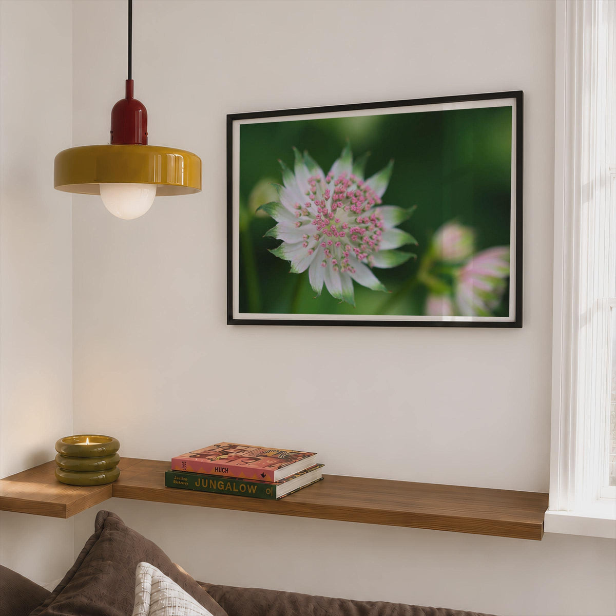 Astrantia Flower Poster, Pink White Masterwort Botanical Framed-Print, Macro Floral Wall Art, Garden Flower Print, Nature Photography Decor