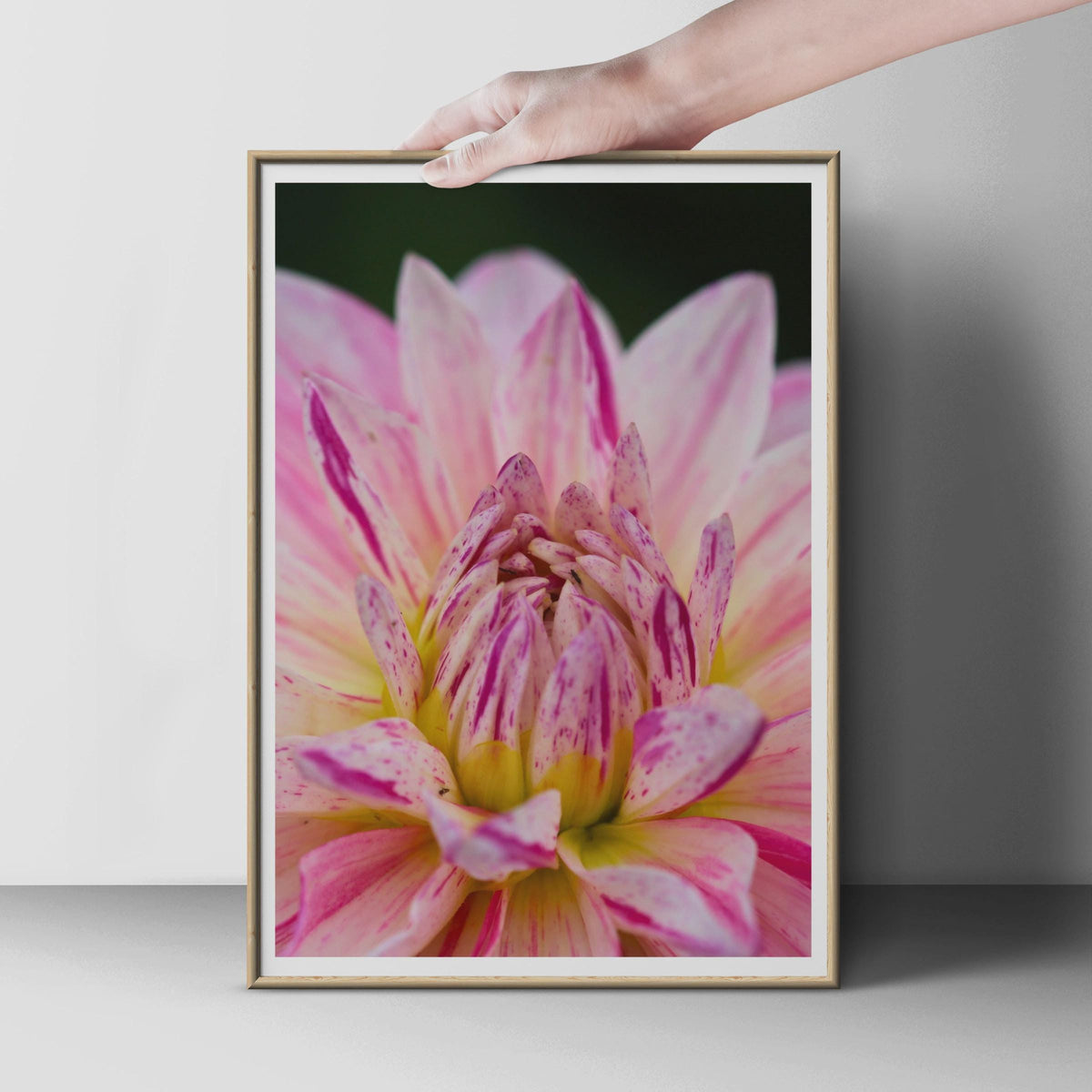 Pink Dahlia Close Up Flower Photography Print, Botanical Wall Art, Floral Poster, Macro Garden Photo, Pink and Yellow Bedroom Decor