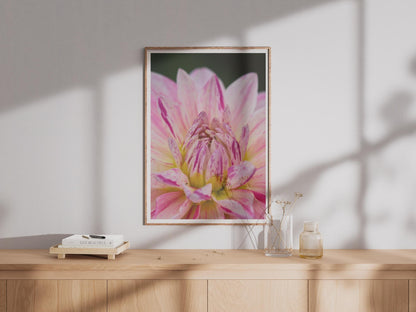 Pink Dahlia Close Up Flower Photography Print, Botanical Wall Art, Floral Poster, Macro Garden Photo, Pink and Yellow Bedroom Decor