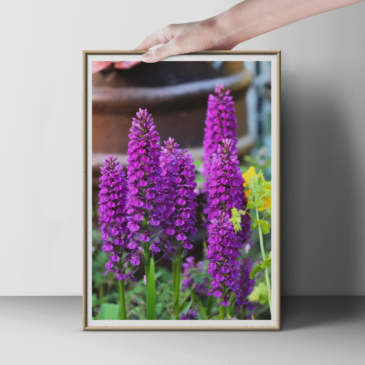 Purple Orchid Flower Poster, Wild Orchid Photography Print, Magenta Floral Wall Art, Garden Flower Photo, Nature Lover Gift, Botanical Decor