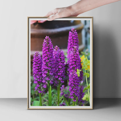 Purple Orchid Flower Poster, Wild Orchid Photography Print, Magenta Floral Wall Art, Garden Flower Photo, Nature Lover Gift, Botanical Decor