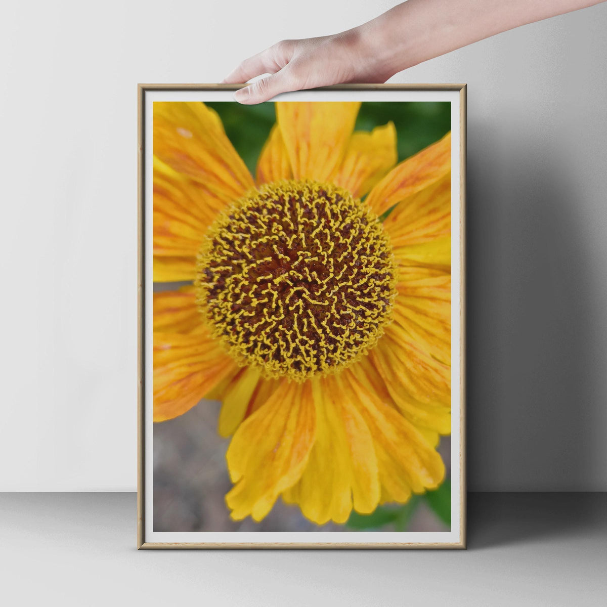 Yellow Orange Flower Close Up Photography Poster, Macro Botanical Wall Art, Sunflower Style Print, Garden Floral Decor, Nature Lover Gift