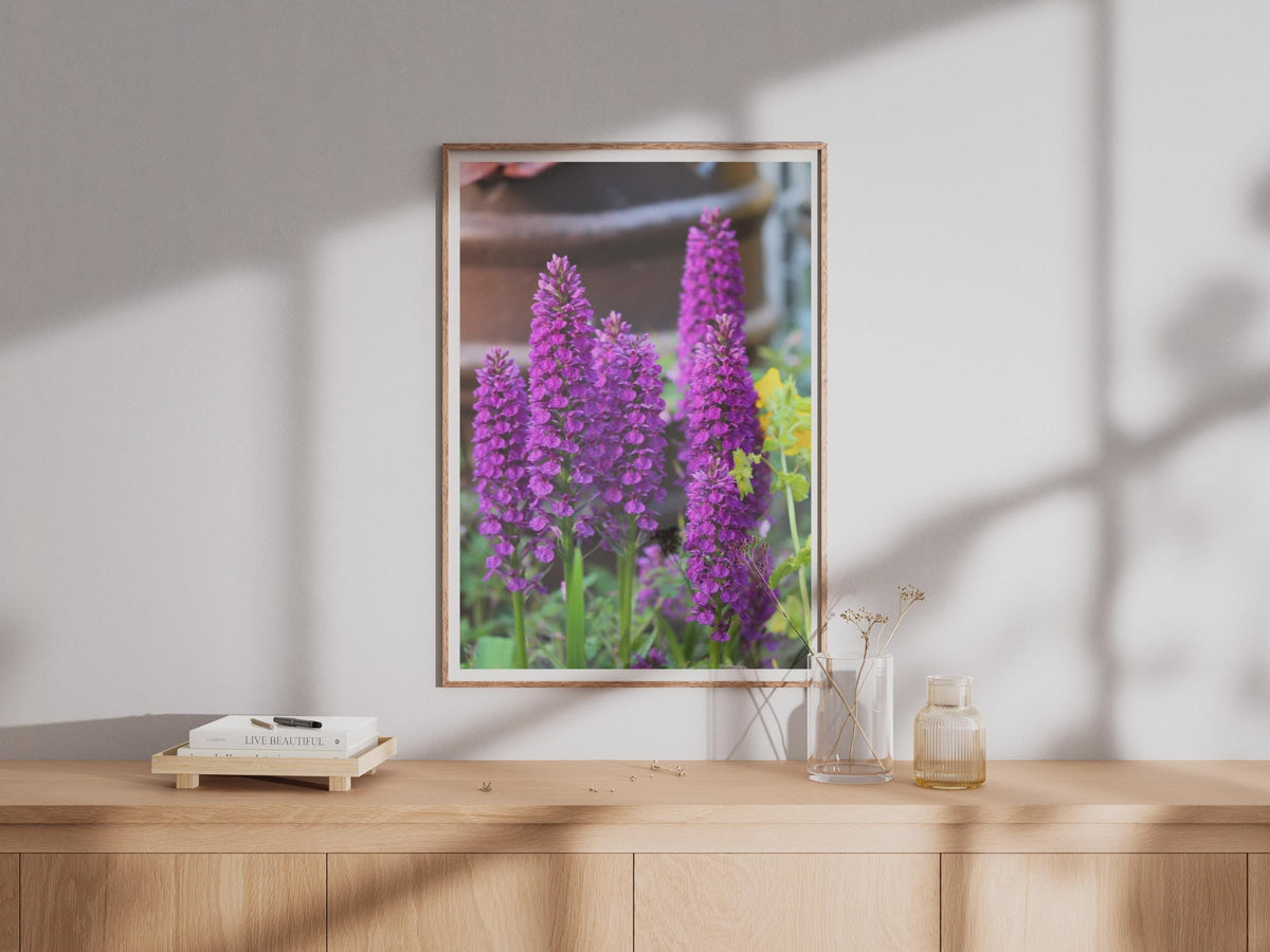 Purple Orchid Flower Poster, Wild Orchid Photography Print, Magenta Floral Wall Art, Garden Flower Photo, Nature Lover Gift, Botanical Decor