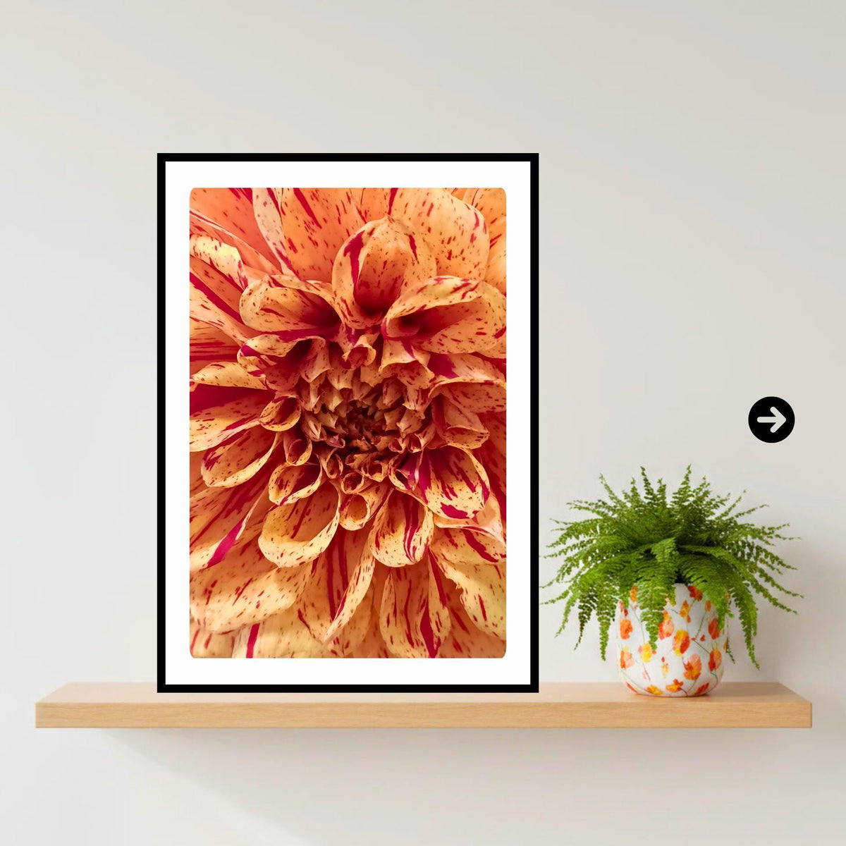 Peach Raspberry Dahlia Print | Macro Flower Photography, Botanical Wall Art