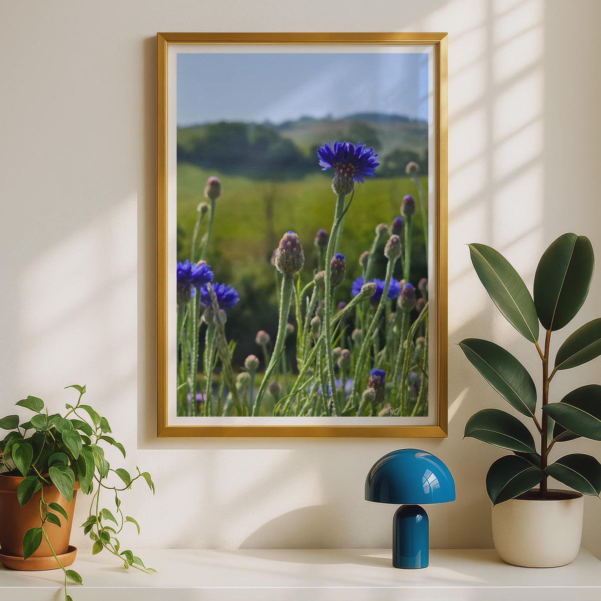 Cornflower Field Photography Print, Blue Wildflower Poster, Summer Meadow Wall Art, Botanical Nature Photo, Country Garden Floral Decor