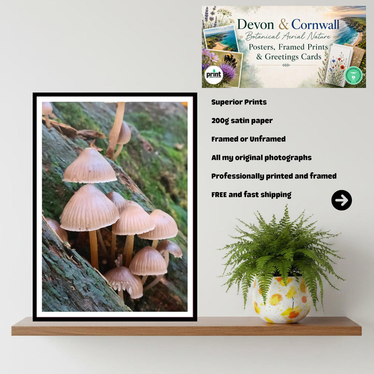 Fairy Bonnet Fungi Print Art, Mushrooms Wall Decor, Nature Photography, Woodland Fungi Illustration, Archival FSC Certified Paper, Botanical