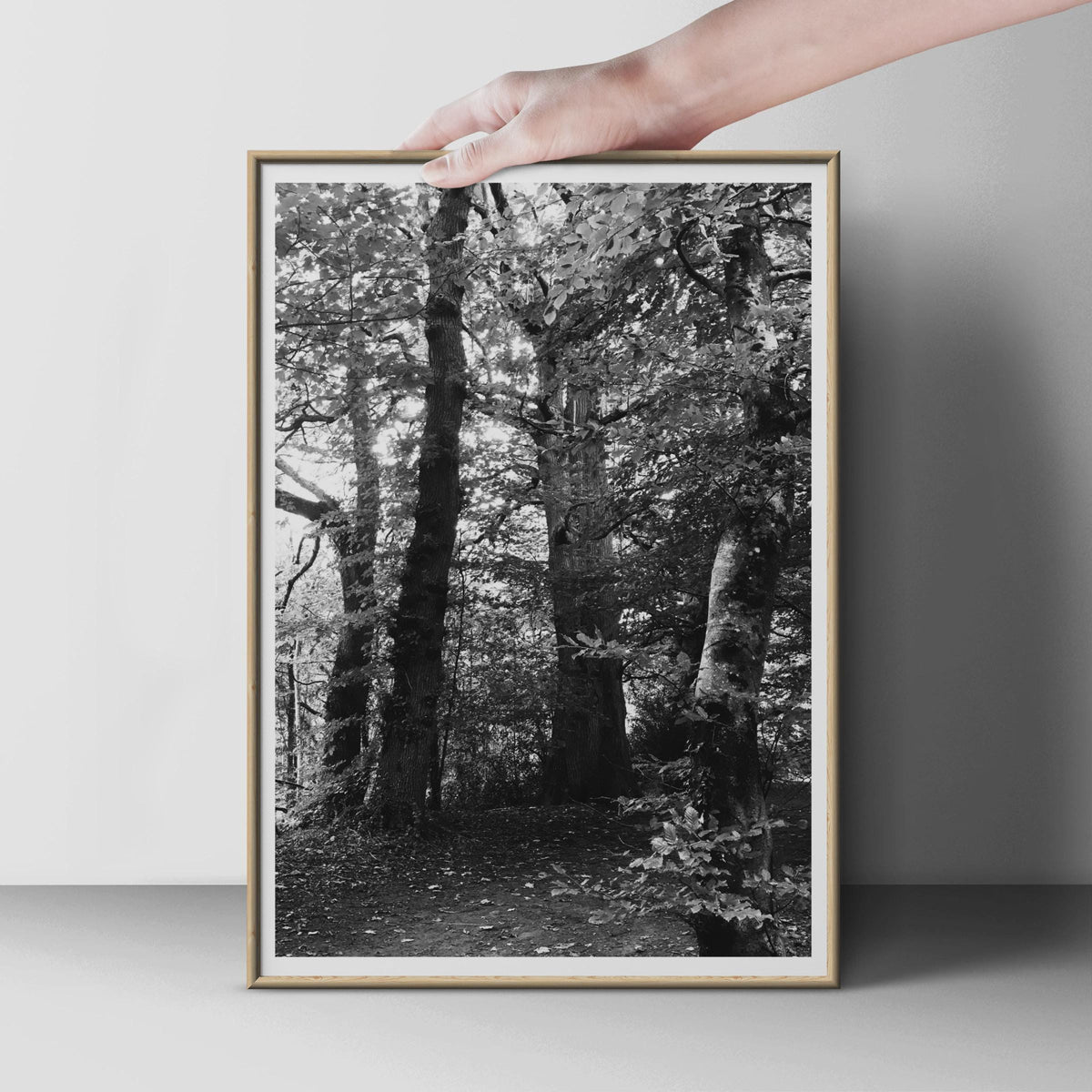 Black and White Forest Poster, Woodland Trees Wall Art, Monochrome Nature Print, Moody Forest Photography, Ancient Trees Home Decor