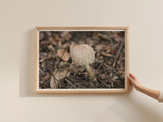 Parasol Mushroom Fungi Poster, Forest Floor Nature Framed-Print, Woodland Fungi Wall Art, Autumn Macro Photography Print, Brown Neutral