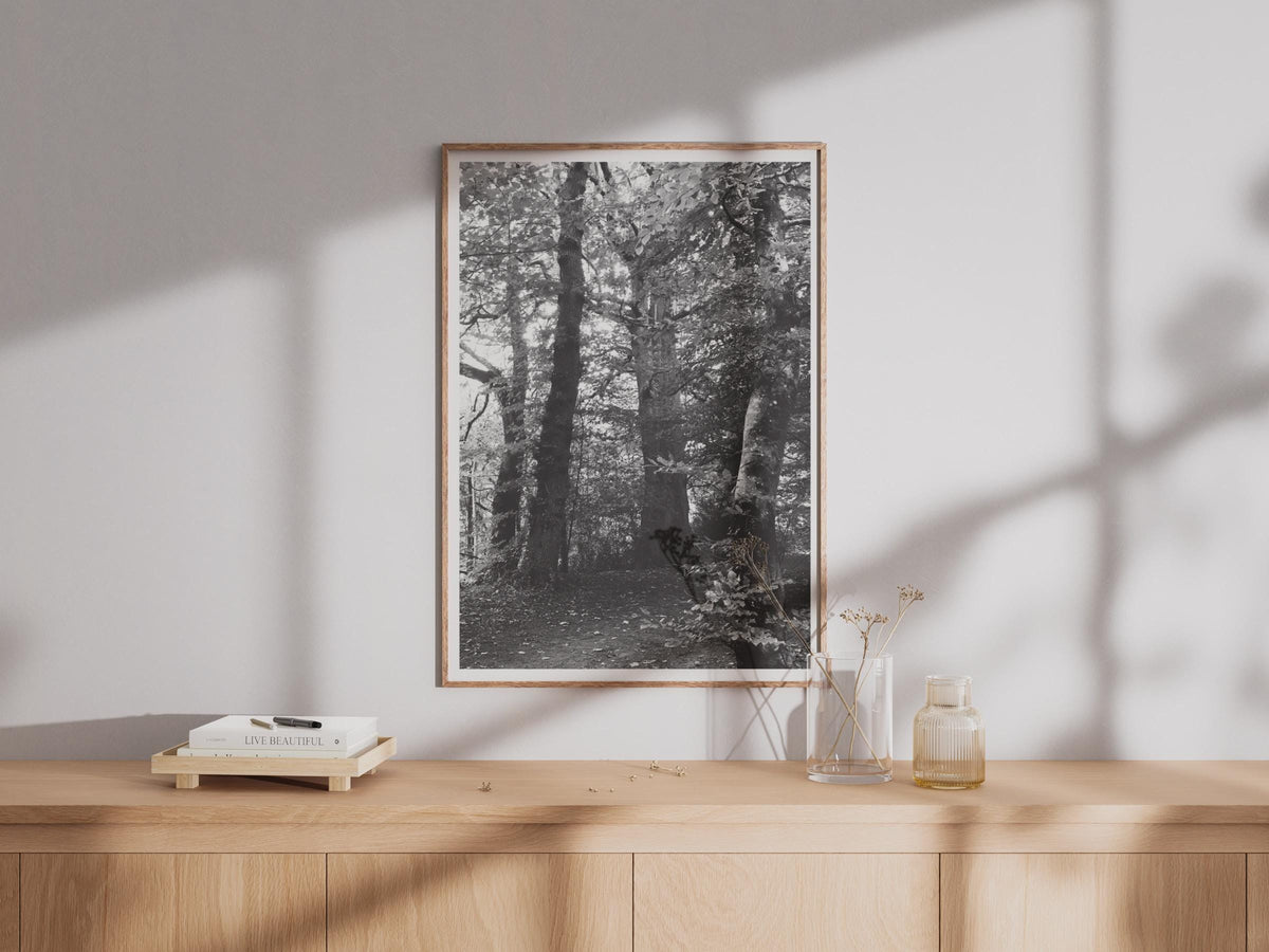 Black and White Forest Poster - image 4