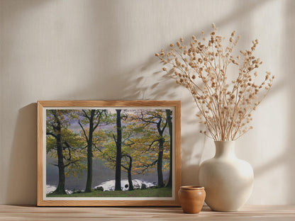 Autumn Trees Lake Landscape Poster - image 3
