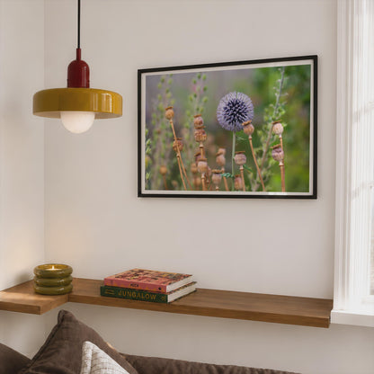 Globe Thistle and Poppy Seed Heads Poster, Botanical Garden Wall Art, Echinops Framed-Print, Blue Purple Wildflower Nature Photography Print