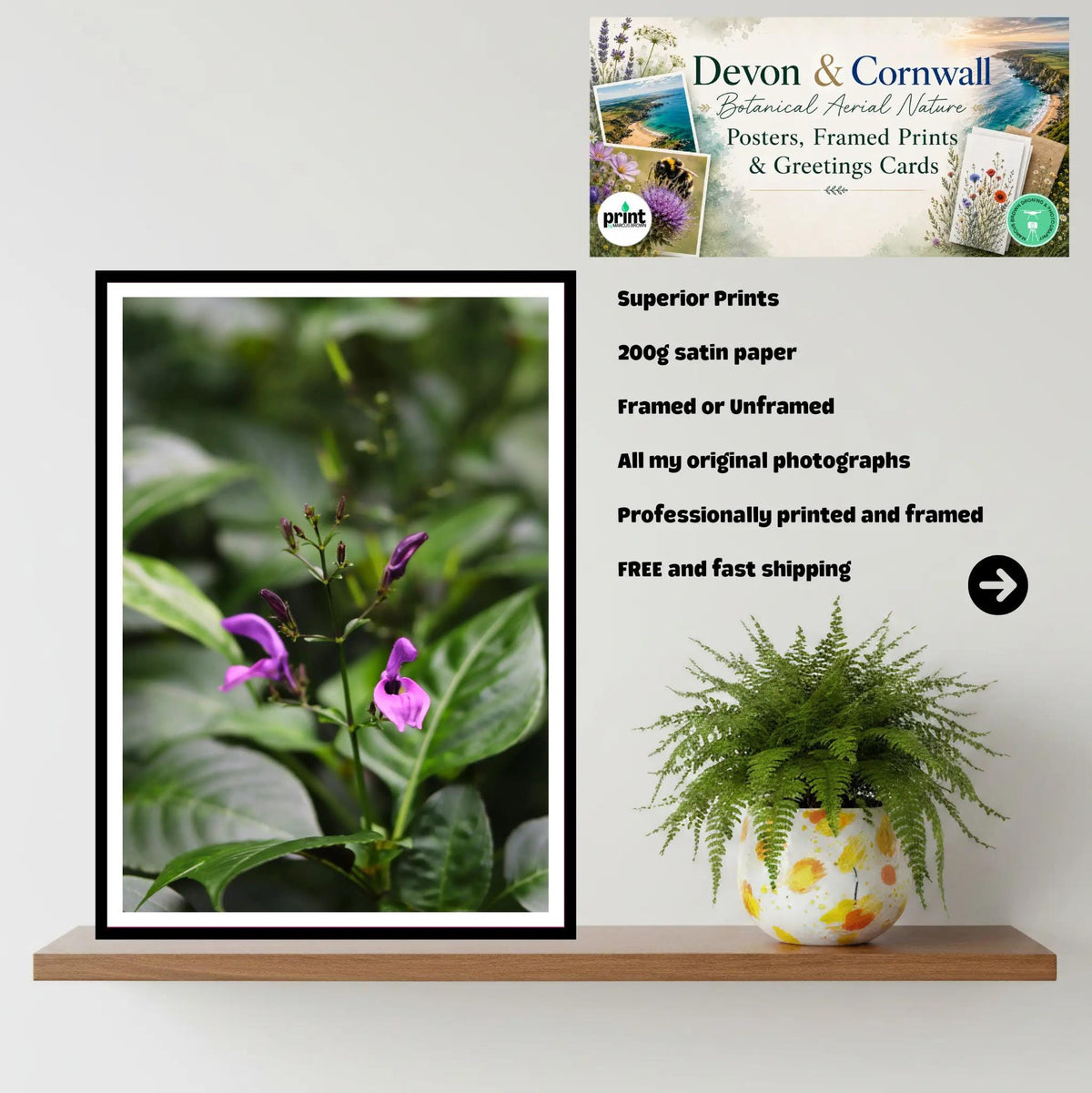 Delicate purple bloom at Eden Project Cornwall — Botanical Wall Art Photography Print