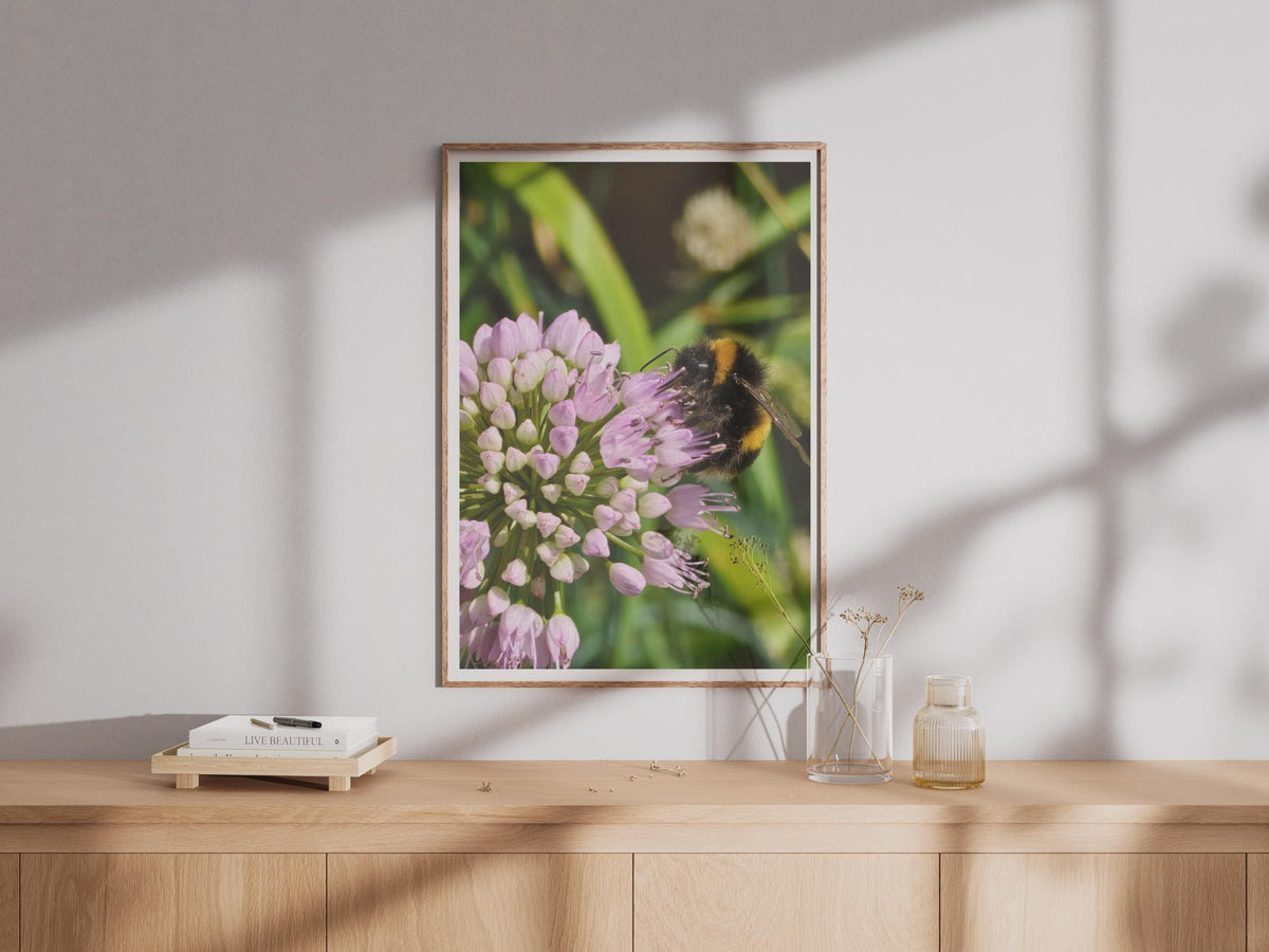 Bumblebee on Allium Flower Poster, Macro Nature Photography Print, Wildlife Garden Wall Art, Pink Purple Bee Lover Gift