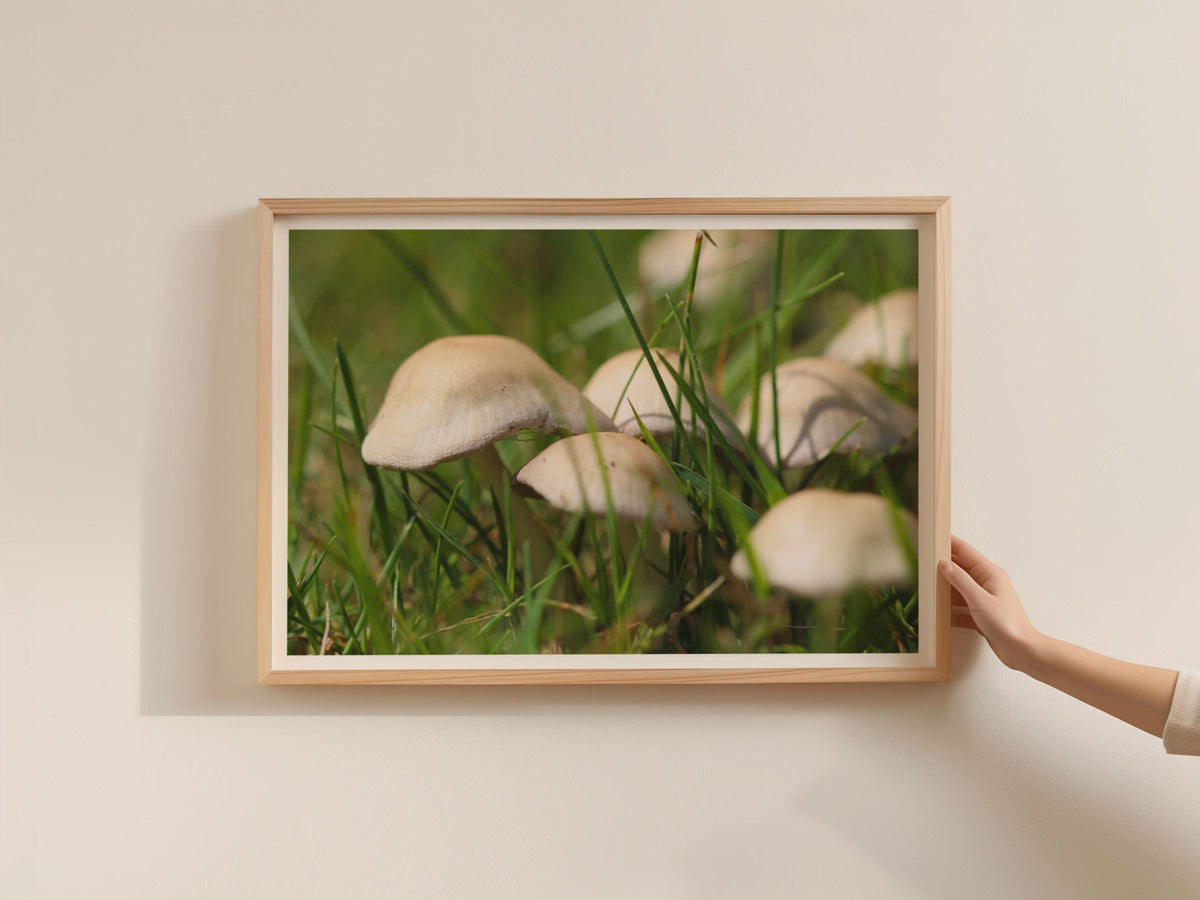 Fungi Mushroom Poster, Landscape Grass Mushrooms Framed-Print, Nature Photography Wall Art, Cream Green Botanical Print, Woodland Decor