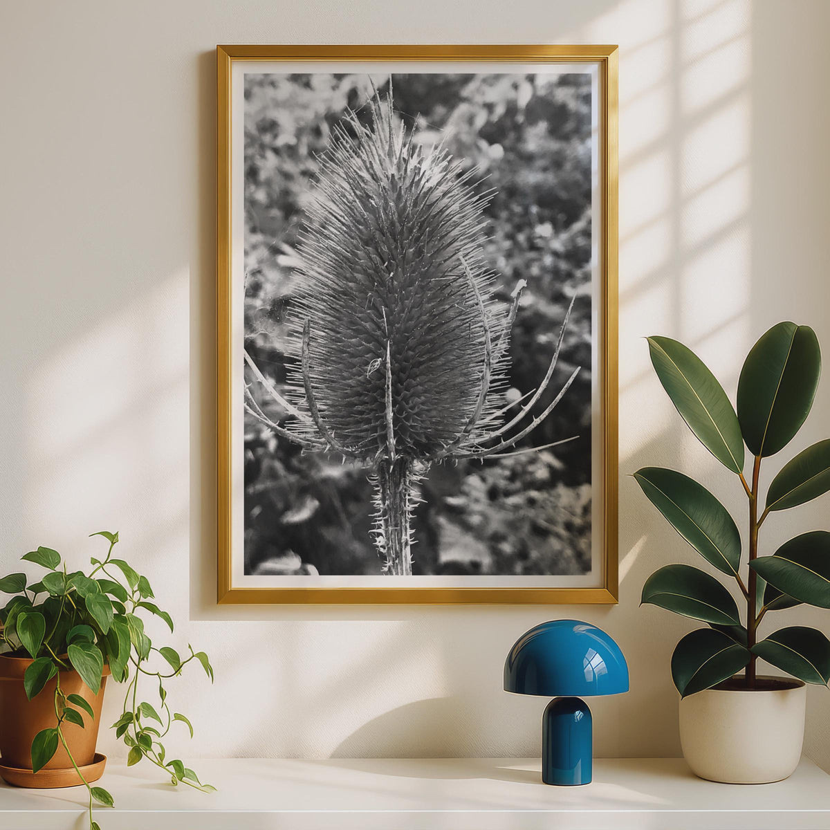 Teasel Head Black and White Botanical Print, Monochrome Nature Photography Poster, Wild Plant Wall Art, Macro Seedhead Photo Print