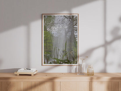 Water Fountain Spray Through Trees Poster - image 4