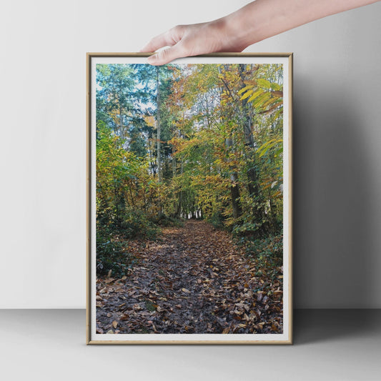 Autumn Forest Path Poster, Woodland Walk Wall Art, Fall Leaves Nature Print, Golden Trees Photo, Living Room Decor, Nature Lover Gift