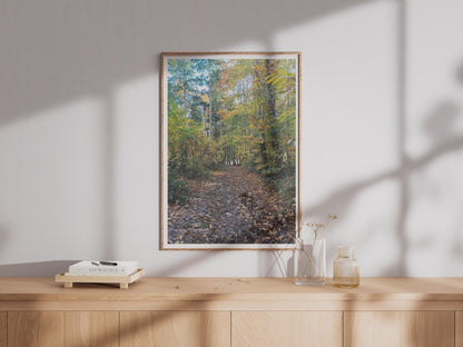 Autumn Forest Path Poster - image 4